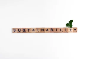 Sustainability in Marketing: More Than a Trend
