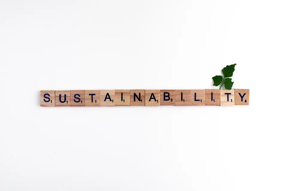 Sustainability in Marketing: More Than a Trend