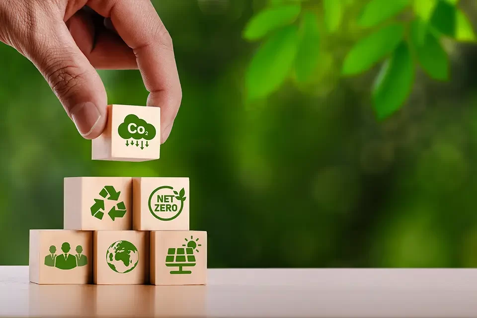 The Growing Importance of Sustainability in Marketing